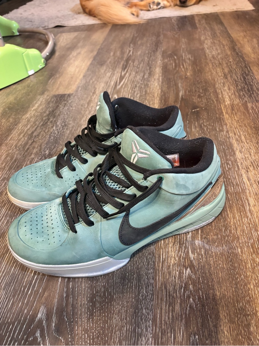 Nike Men’s Teal Kobe GIRL DAD Basketball Shoes
